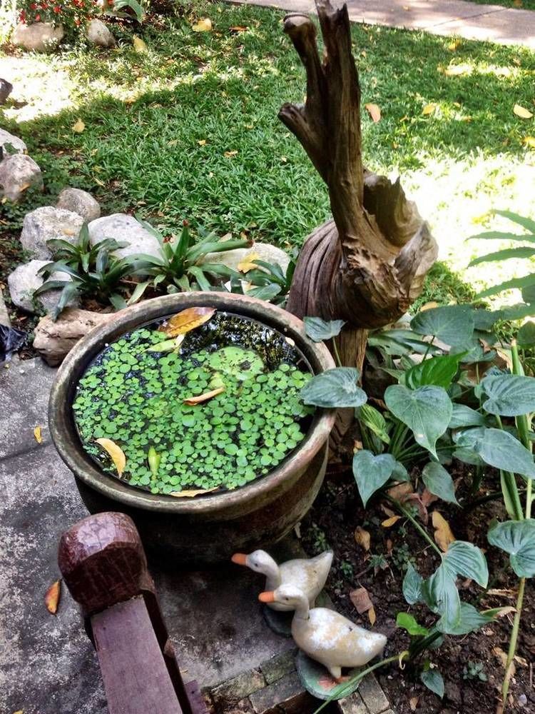 Santitham Guest House Chiang Mai Exterior foto